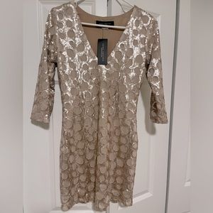 Champagne gold sequin dress. Long sleeves, v-neck, mini.
